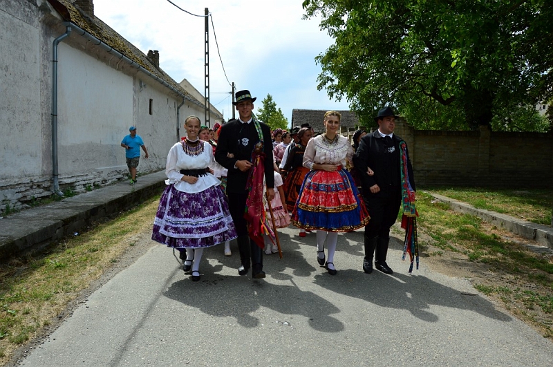 DSC_0270 (Medium).JPG